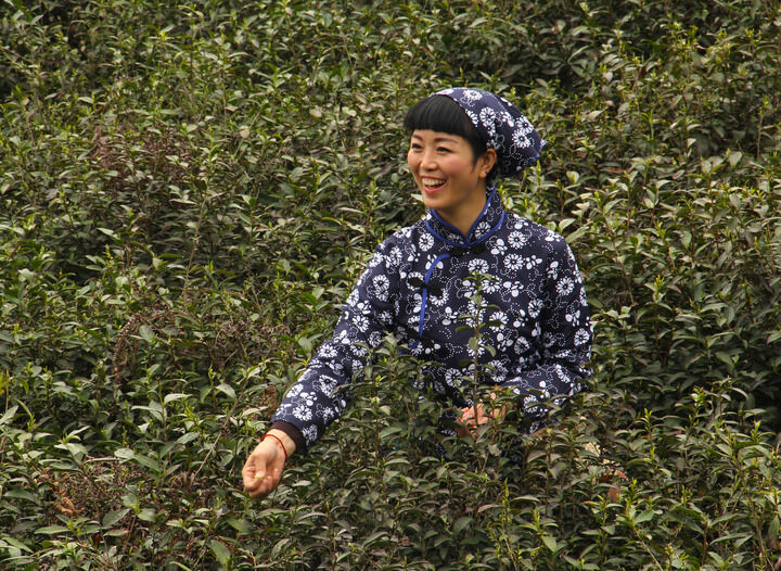 樱花谷热门6